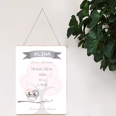 Födelseposter, doptavla Rosa trädugglan