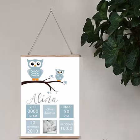 Födelseposter, namntavla, doptavla Ugglor dusty blue