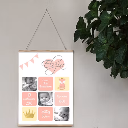 Födelseposter Rosa rutor med foton foxy