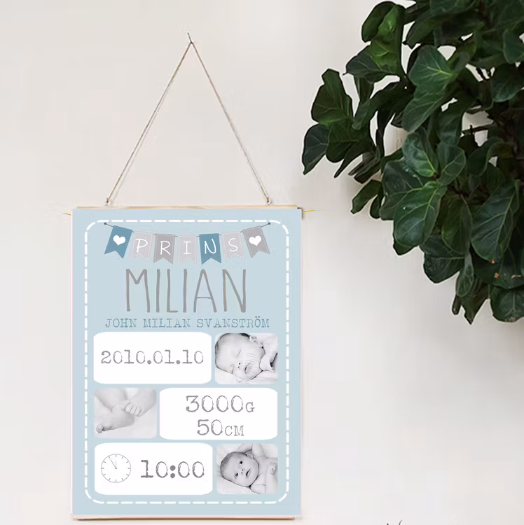 Födelseposter, namntavla, doptavla Prins blå