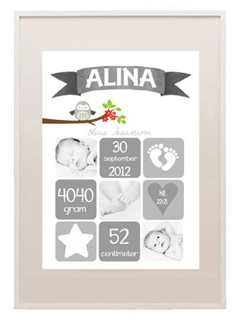 Födelseposter/doptavla/namntavla Rut grå med foton och uggla