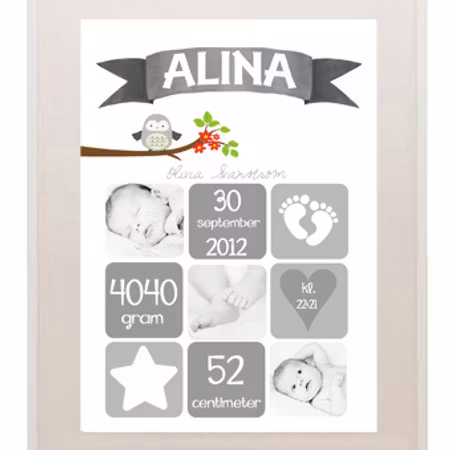 Födelseposter/doptavla/namntavla Rut grå med foton och uggla