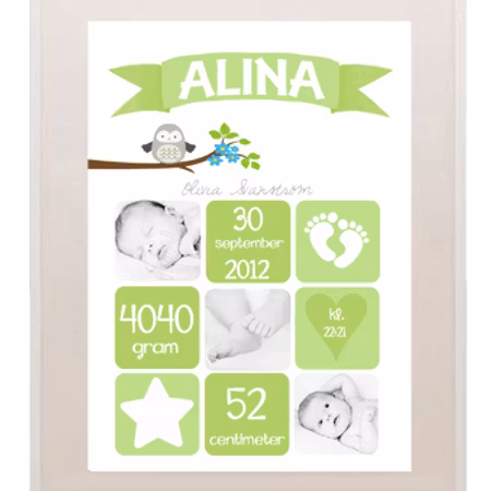 Födelseposter/doptavla/namntavla Rut grön med foton och uggla