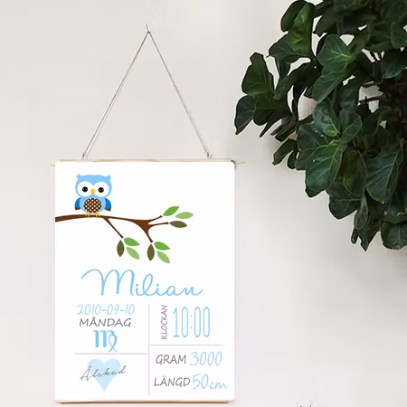 Födelseposter/doptavla/namntavla prickugglan