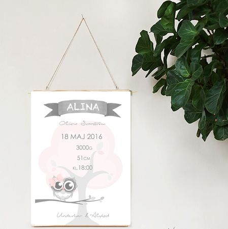Födelseposter/doptavla/namntavla Rosa trädugglan