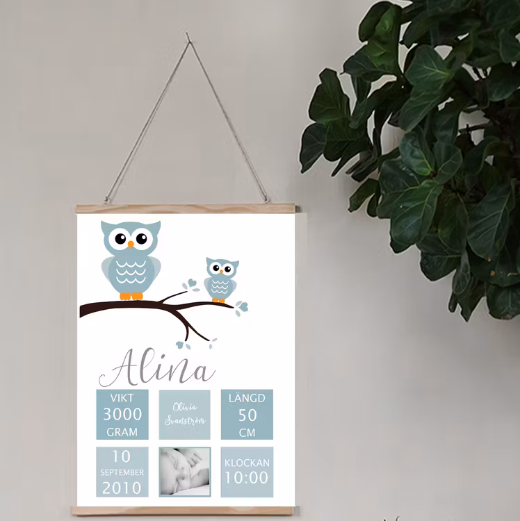 Födelseposter/doptavla/namntavla Ugglor dusty blue