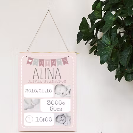 Födelseposter Sötnos rosa
