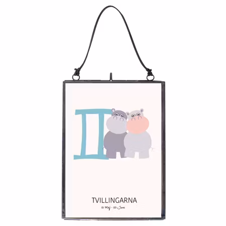 Poster Tvillingarna