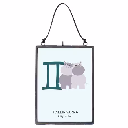 Poster Tvillingarna