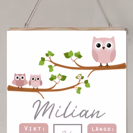 Födelseposter ugglorna på grenen dusty pink