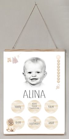 Födelseposter/doptavla/namntavla rosa fjäril cirkelfoto