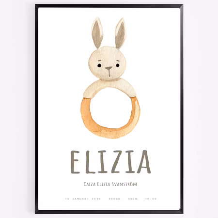 Födelseposter/doptavla/namntavla Kaninis