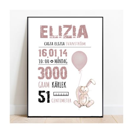 Födelseposter, doptavla, namntavla Kaninis rosa
