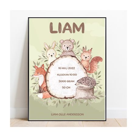 Födelseposter, namntavla, doptavla SKOG