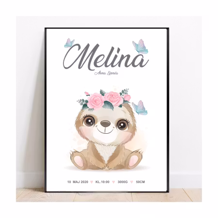 Födelseposter, namntavla, doptavla sengångare