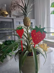 Blompinnar "Jordgubbar"
