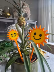 Blompinnar "Glad sol"