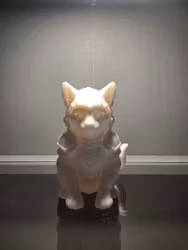 🛡️ Riddar-Katt