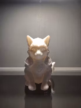 🛡️ Riddar-Katt