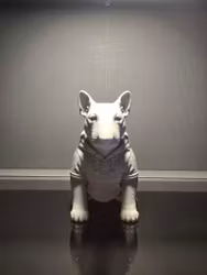 Hoodie-Hund