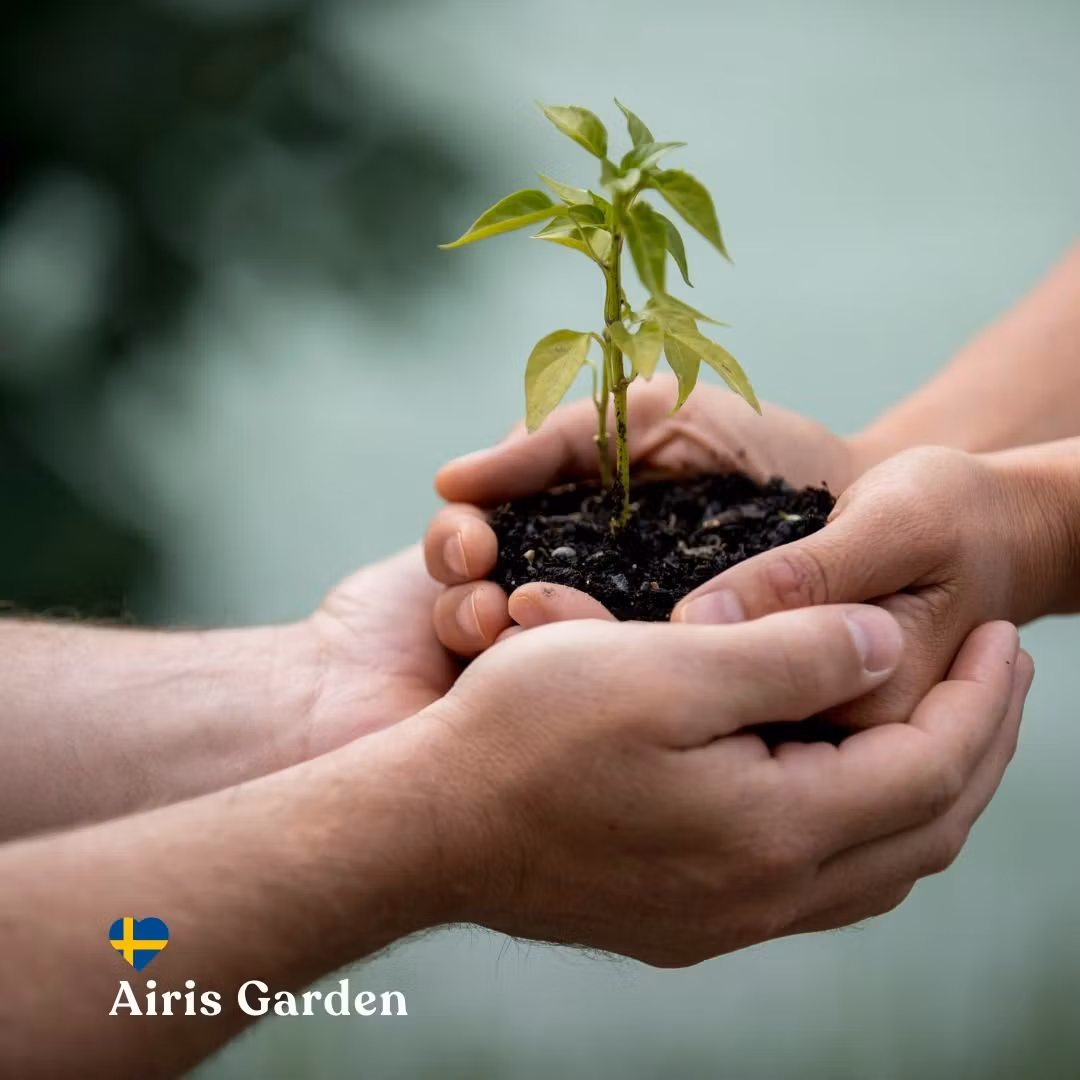 Framtidens växtproduktion – starkare rötter och renare odling — Historien om Airis Garden, del 3/3