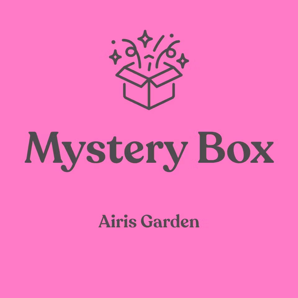 Mystery Box