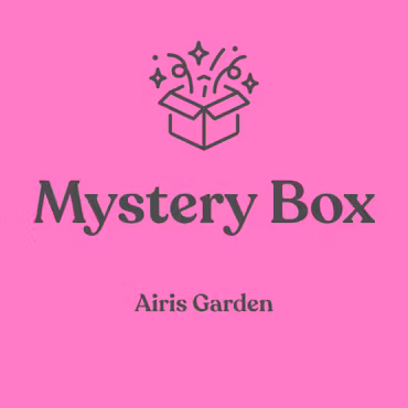Mystery Box