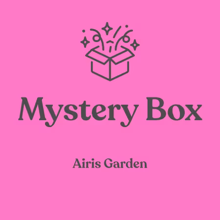 Mystery Box