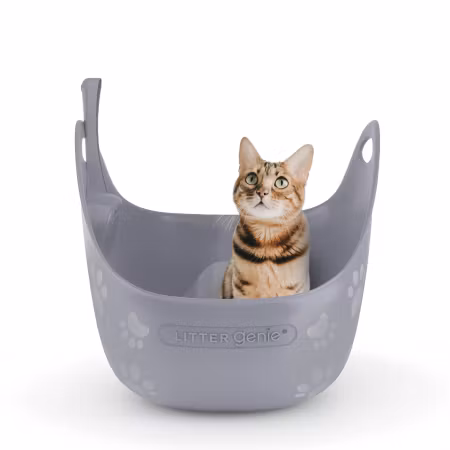 Litter Genie® katt toalett i färger grå eller vit
