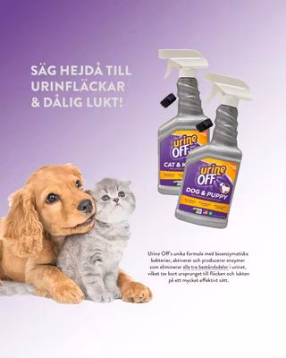 Urine Off Cat&Kitten Spray 500 ml