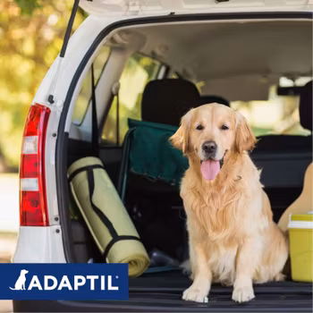 ADAPTIL® Transport Spray 20 ml/60 ml