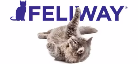 FELIWAY® Classic Spray 20 ml