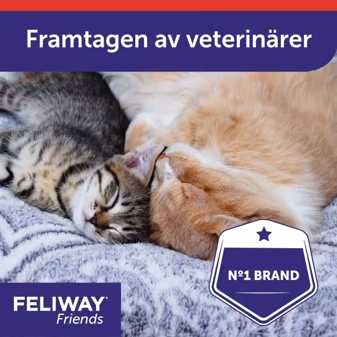FELIWAY® Classic Spray