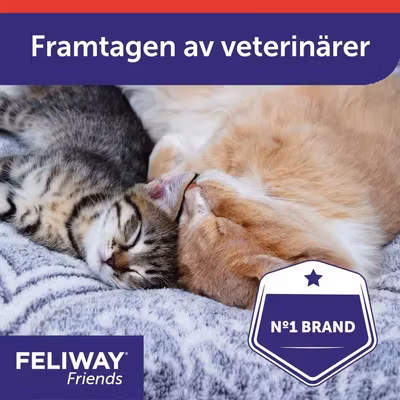 FELIWAY® Classic Spray 20 ml