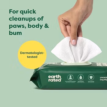 Earth Rated® Wipes 100-pack