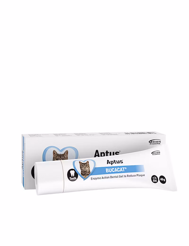 Bucacat® Tandgel med enzymer