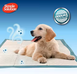 Simple Solution® Absorberande Premium Hund- och Valp underlägg
