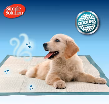 Simple Solution® Absorberande Premium Hund- och Valp underlägg