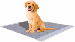 Croci® Super Nappy Dog Sleepers Underlägg