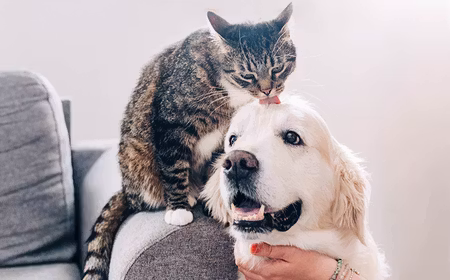 Aptus® Relax™ Solution