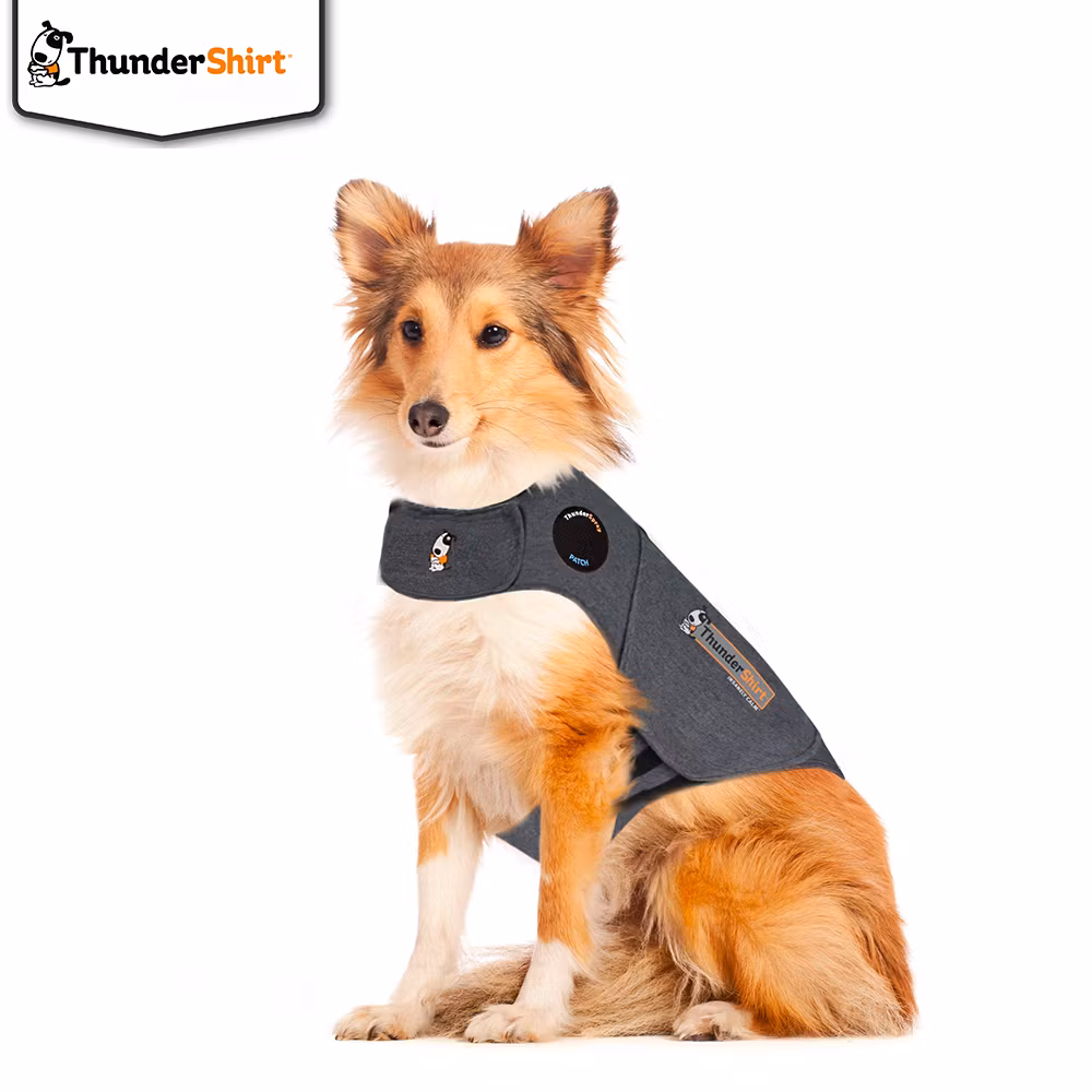 Thundershirt Hund