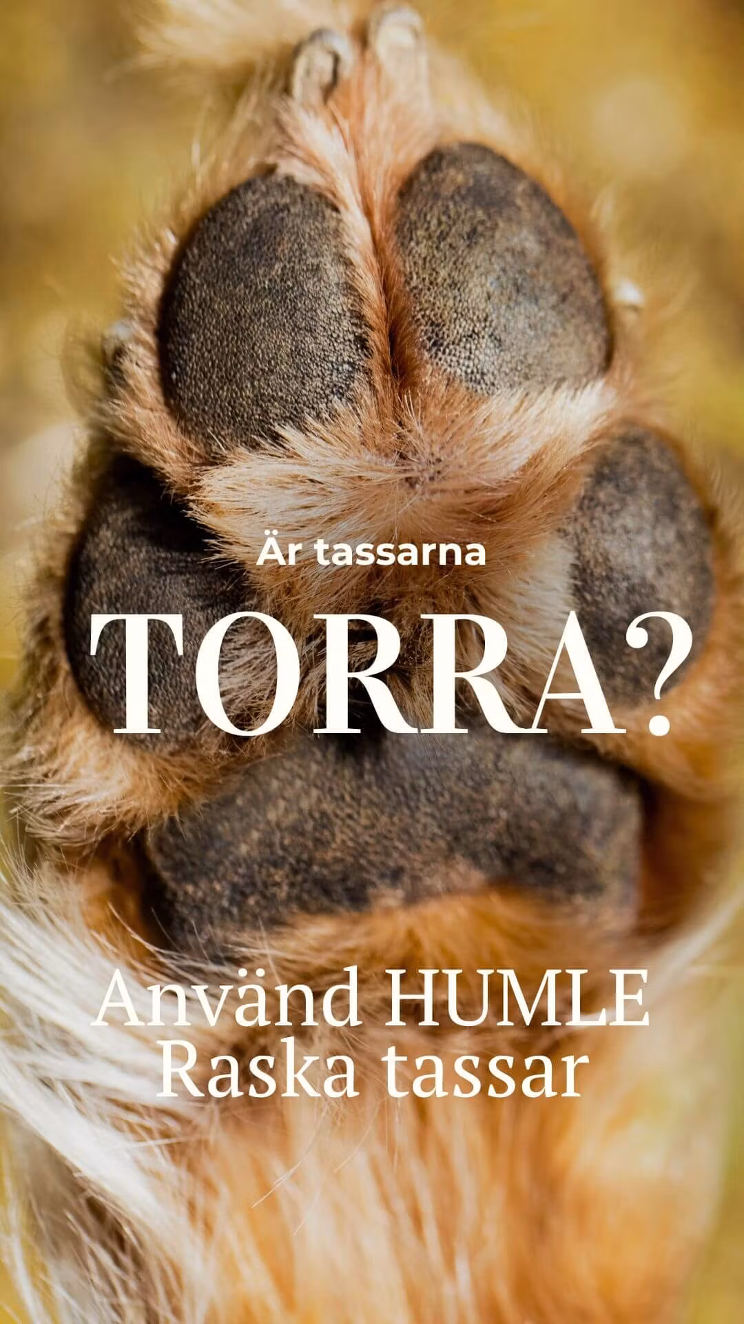 Humle Raska Tassar Salva Mini15 ml