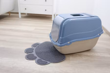 LAGOM Kattpaket