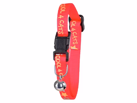 Katthalsband med safety click