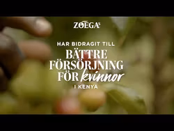 Zoegas koffiebus