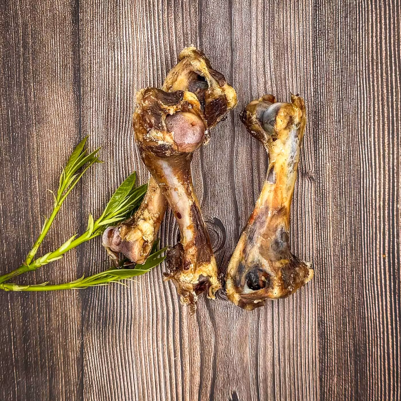 Tuggben & Horn - Tuggster by HundaLunda