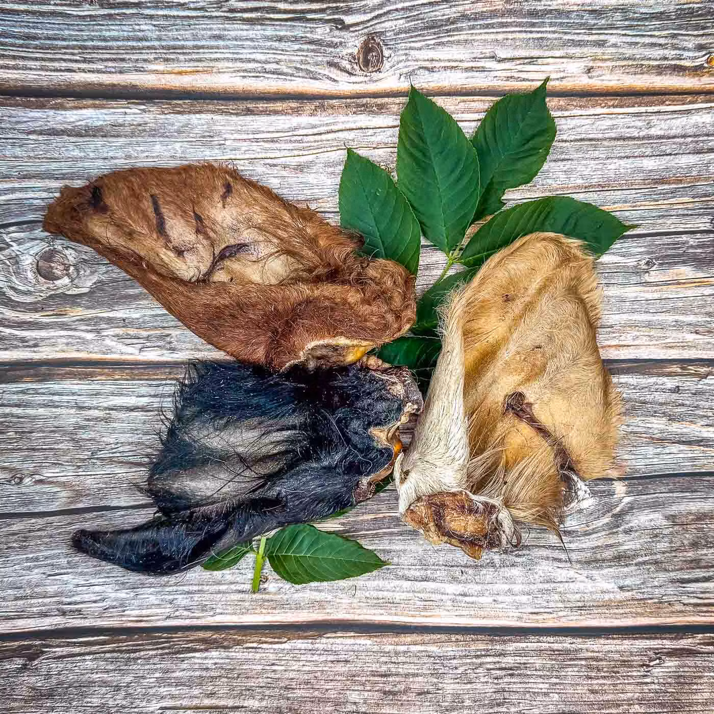 Pälstugg - Tuggster by HundaLunda