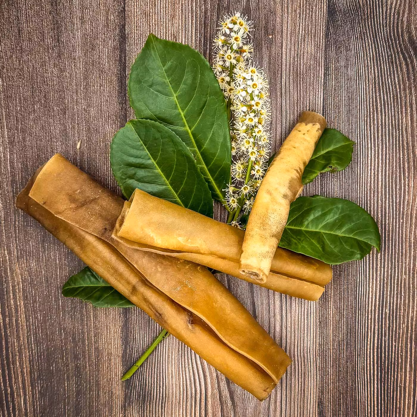 Tuggrullar - Tuggster by HundaLunda