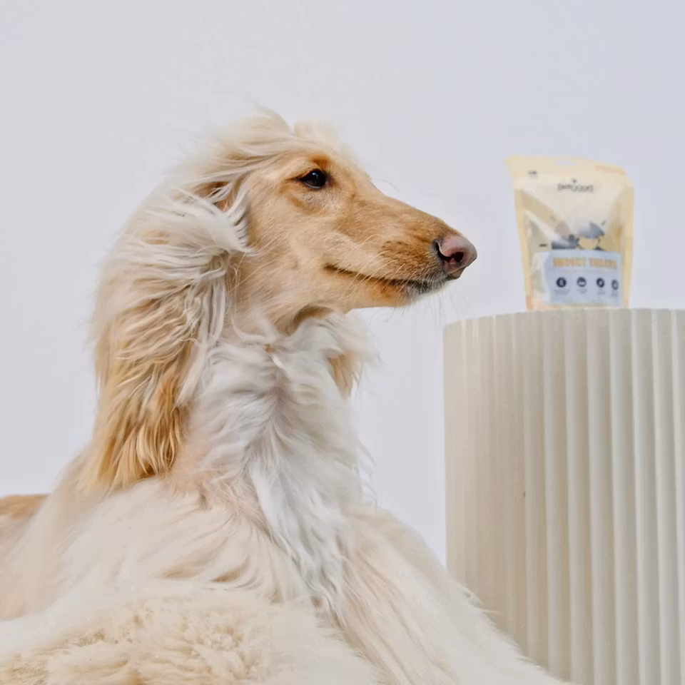 Petgood® Insektsbaserat Hundgodis för Glänsande Päls 100g