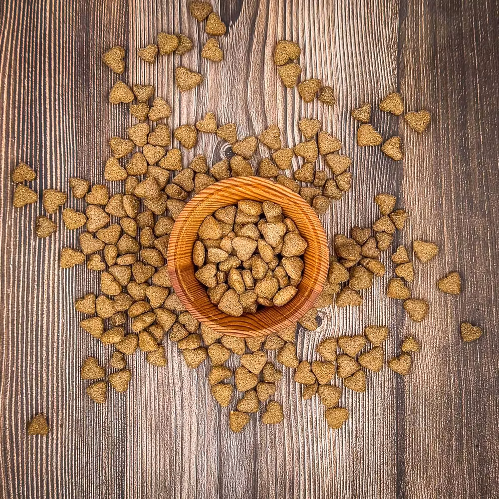 Petgood Insektsbaserat Hundgodis För Träning 100g